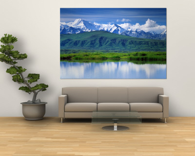 Denali National Park, Alaska, USA Wall Mural Denali National Park, Alaska, USA Wall Mural