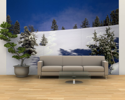 Jackson Hole, Wyoming, USA Wall Mural – Large Jackson Hole, Wyoming, USA Wall Mural – Large