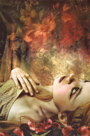 Arabesque Poster Arabesque Poster