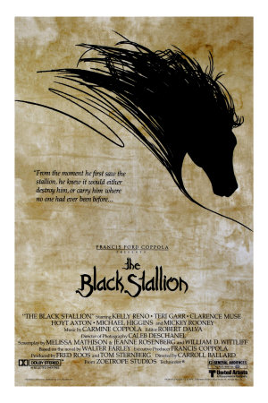 The Black Stallion Other The Black Stallion Other
