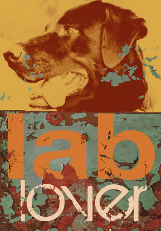 Labrador Print Labrador Print