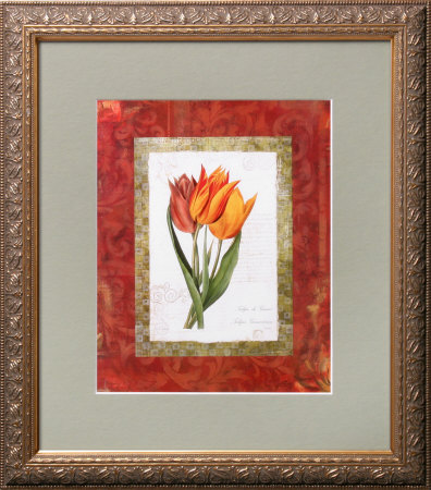 Tulip de Gesner Framed Fine Art Print Tulip de Gesner Framed Fine Art Print