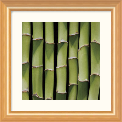 Bamboo Lengths Framed Fine Art Print Bamboo Lengths Framed Fine Art Print