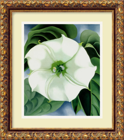 Jimson Weed, 1932 Framed Fine Art Print Jimson Weed, 1932 Framed Fine Art Print
