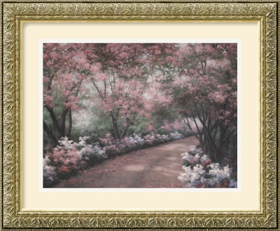 Azalea Walk Framed Fine Art Print Azalea Walk Framed Fine Art Print