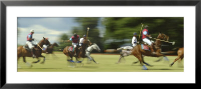 Polo Framed Photographic Print Polo Framed Photographic Print