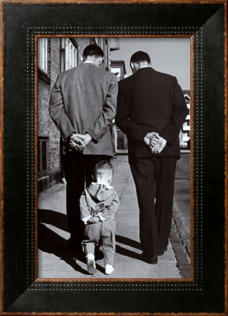 It's a Complicated World Framed Print It's a Complicated World Framed Print