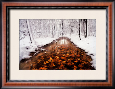 Autumn Passage Framed Print Autumn Passage Framed Print