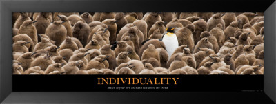 Individuality: Penguin Framed Print Individuality: Penguin Framed Print