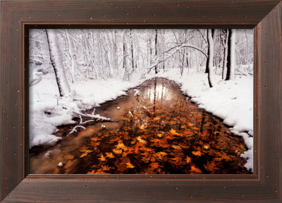 Autumn Passage Framed Print Autumn Passage Framed Print