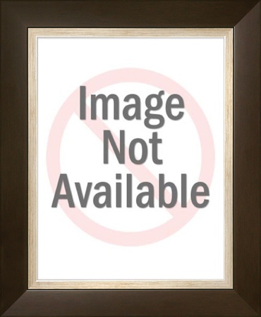 Petite Fleurs Framed Canvas Print Petite Fleurs Framed Canvas Print