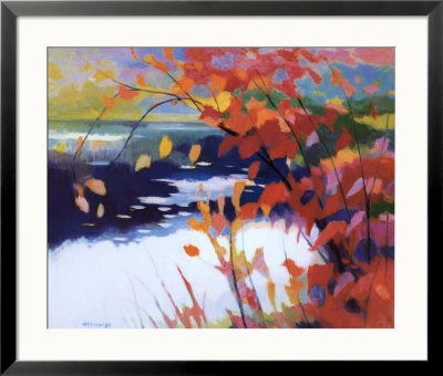 Afternoon Calm Framed Print Afternoon Calm Framed Print