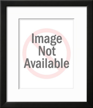 Petite Fleurs Framed Print Petite Fleurs Framed Print