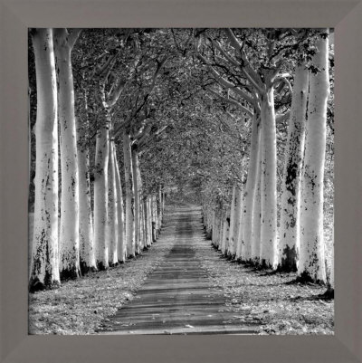 Epernay, France Framed Print Epernay, France Framed Print