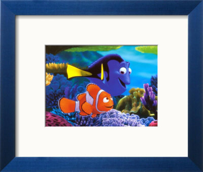 Searching for Nemo Framed Print Searching for Nemo Framed Print