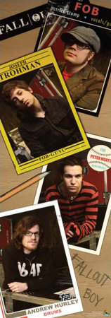 Fall Out Boy Poster Fall Out Boy Poster