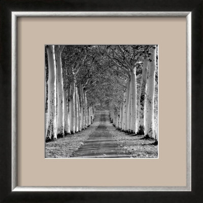 Epernay, France Framed Print Epernay, France Framed Print