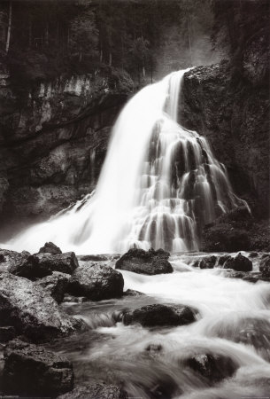 Austrian Forest Waterfall Poster Austrian Forest Waterfall Poster