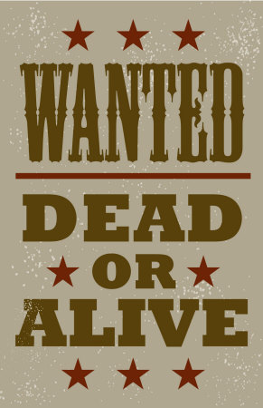 Wanted Other Wanted Other
