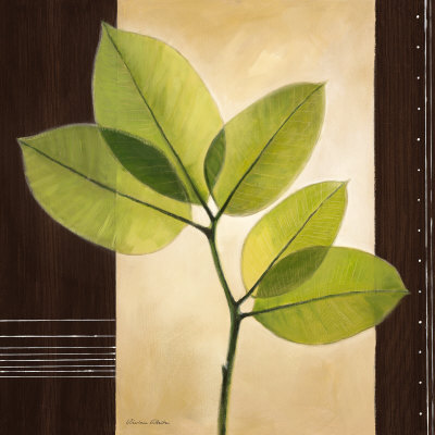 Lucent Leafs Print Lucent Leafs Print