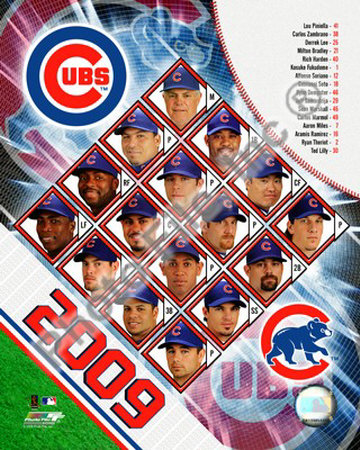 2009 Chicago Cubs Photograph 2009 Chicago Cubs Photograph