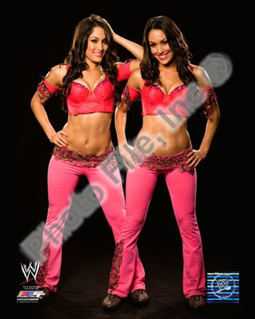 Bella Twins Photograph Bella Twins Photograph