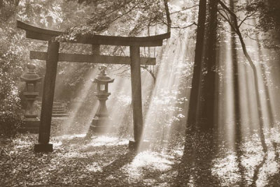 Torii Shrine Poster Torii Shrine Poster