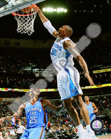 David West Photograph David West Photograph