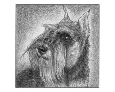 Schnauzer Giclee Print Schnauzer Giclee Print