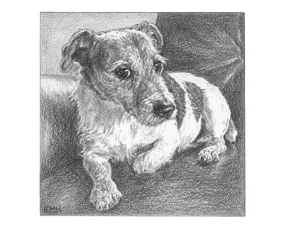 Jack Russell Giclee Print Jack Russell Giclee Print
