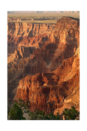 Canyon Light Photographic Print Canyon Light Photographic Print