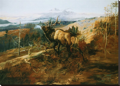 The Elk Stretched Canvas Print The Elk Stretched Canvas Print