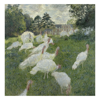 Les dindons Giclee Print Les dindons Giclee Print