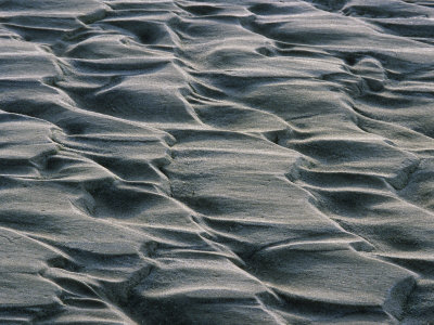 Brewster Cape Cod. Patterns in Windblown Sand, Brewster, Cape Cod, Massachusetts Photographic Print. zoom. view in room