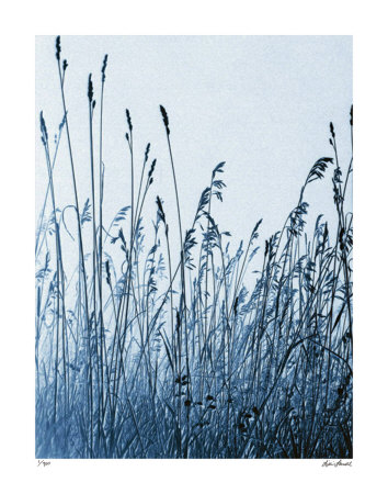 Pastoral Gesture Limited Edition Pastoral Gesture Limited Edition
