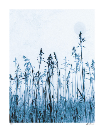 Pastoral Moment Limited Edition Pastoral Moment Limited Edition