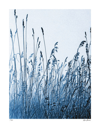 Pastoral Gesture Limited Edition Pastoral Gesture Limited Edition