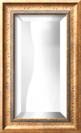 8x16 Bevel Mirror Mirror 8x16 Bevel Mirror Mirror