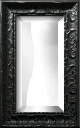 8x16 Bevel Mirror Mirror 8x16 Bevel Mirror Mirror