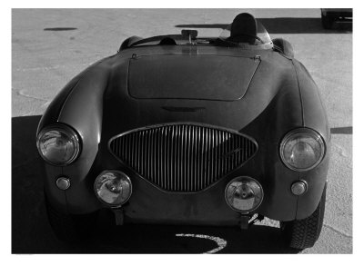 Austin Healey Print Austin Healey Print