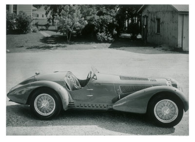 Jaguar, 1950's Print Jaguar, 1950's Print