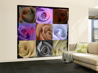 Muted Roses Other Muted Roses Other