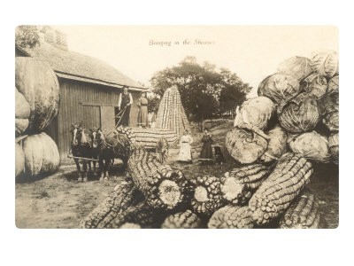 Giant Corn Cobs, Cabbage, Pumpkins Giclee Print Giant Corn Cobs, Cabbage, Pumpkins Giclee Print