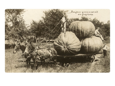 Gigantic Pumpkins on Horse Cart Giclee Print Gigantic Pumpkins on Horse Cart Giclee Print