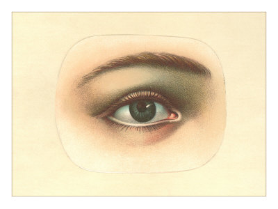 Eye Illustration Giclee Print Eye Illustration Giclee Print
