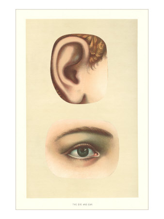 The Ear and Eye Giclee Print The Ear and Eye Giclee Print