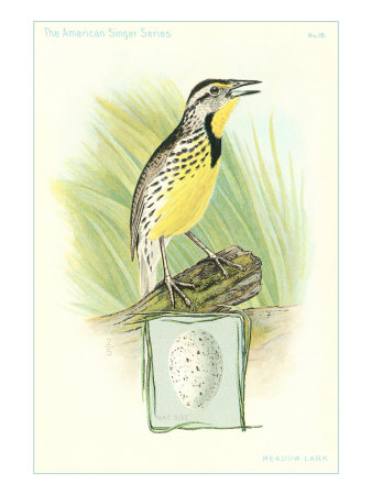 Meadowlark and Egg Giclee Print Meadowlark and Egg Giclee Print