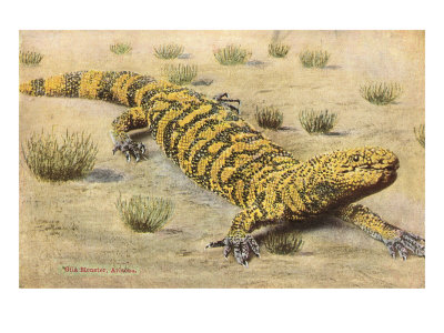Gila Monster Giclee Print Gila Monster Giclee Print