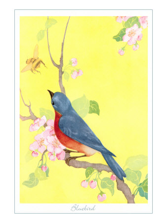 Bluebird, Illustration Giclee Print Bluebird, Illustration Giclee Print