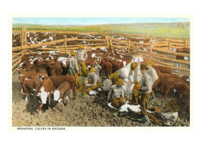 Branding Calves Giclee Print Branding Calves Giclee Print